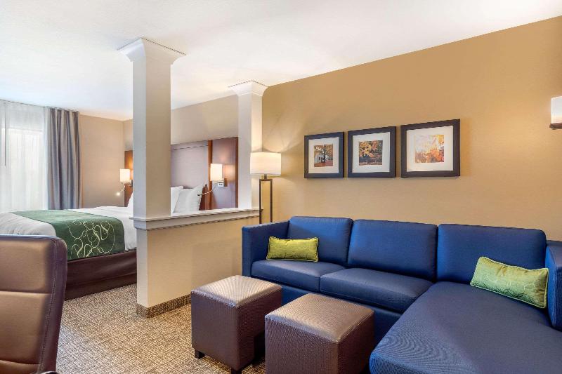 Comfort Inn & Suites Schenectady - Scotia image