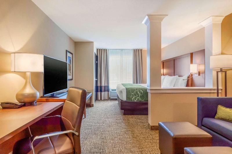 Comfort Inn & Suites Schenectady - Scotia image