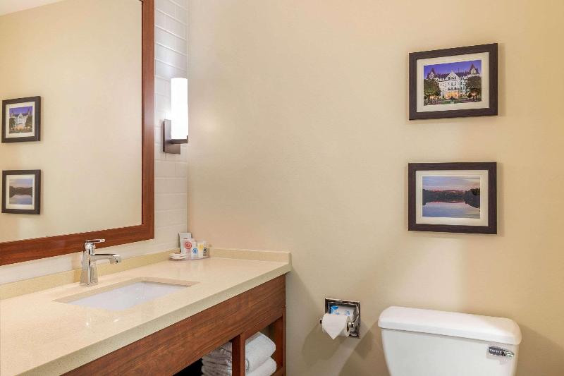 Comfort Inn & Suites Schenectady - Scotia image