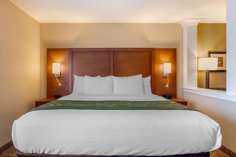 Comfort Inn & Suites Schenectady - Scotia image
