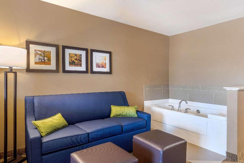 Comfort Inn & Suites Schenectady - Scotia image