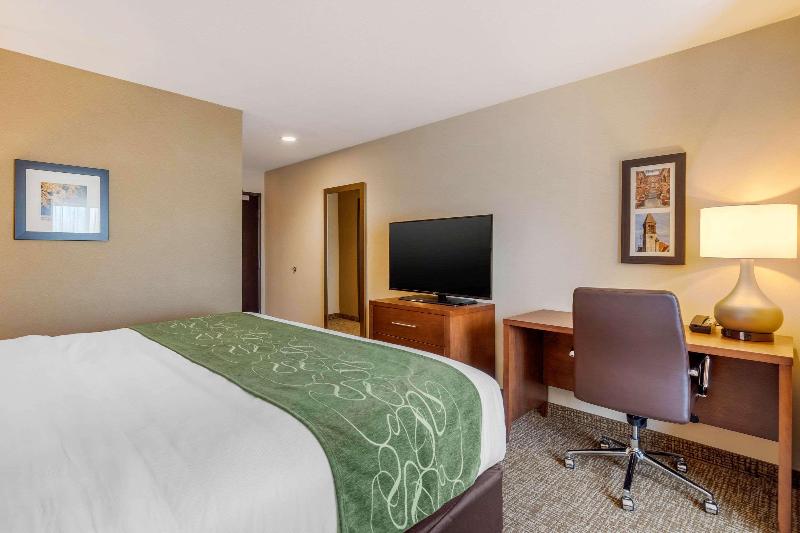 Comfort Inn & Suites Schenectady - Scotia image