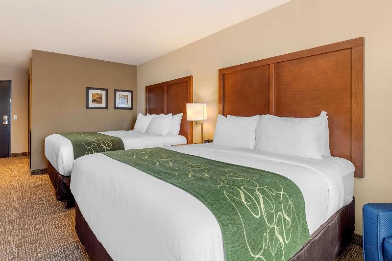 Comfort Inn & Suites Schenectady - Scotia image