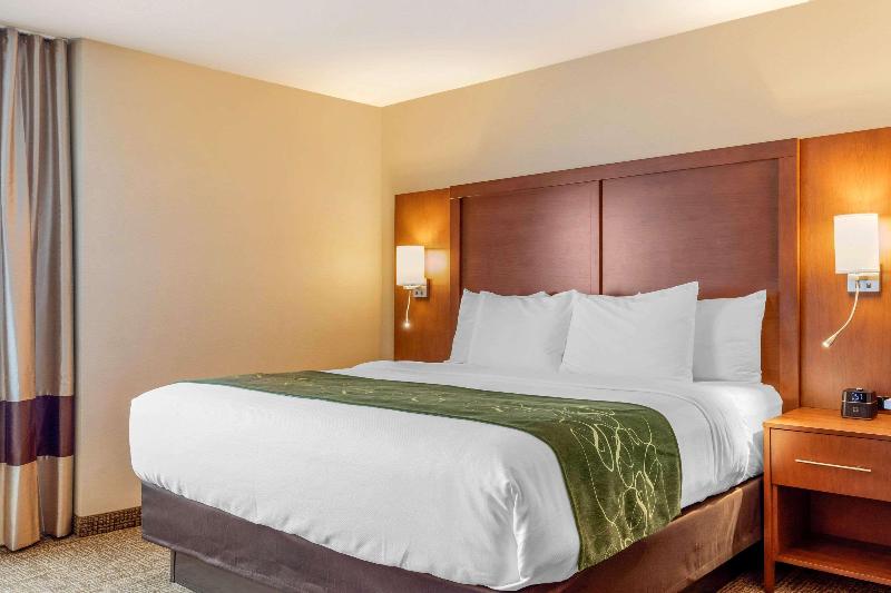 Comfort Inn & Suites Schenectady - Scotia image