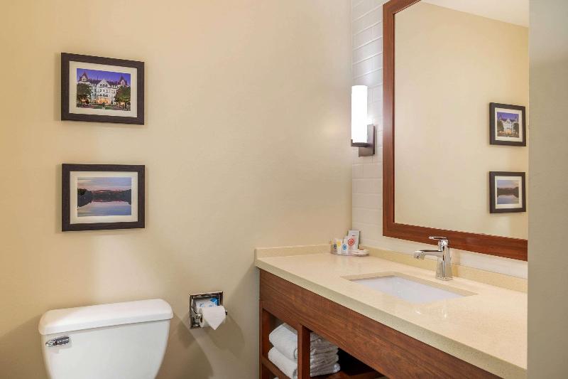 Comfort Inn & Suites Schenectady - Scotia image