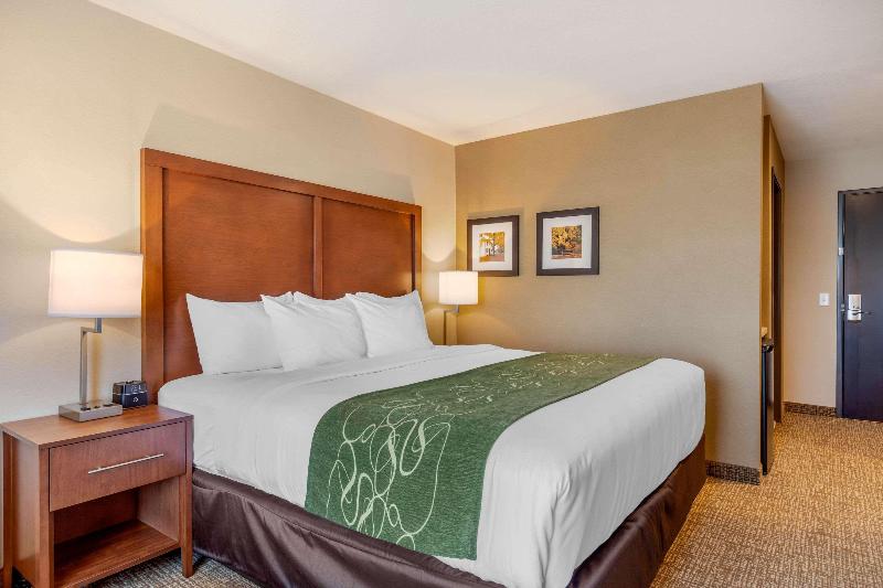 Comfort Inn & Suites Schenectady - Scotia image