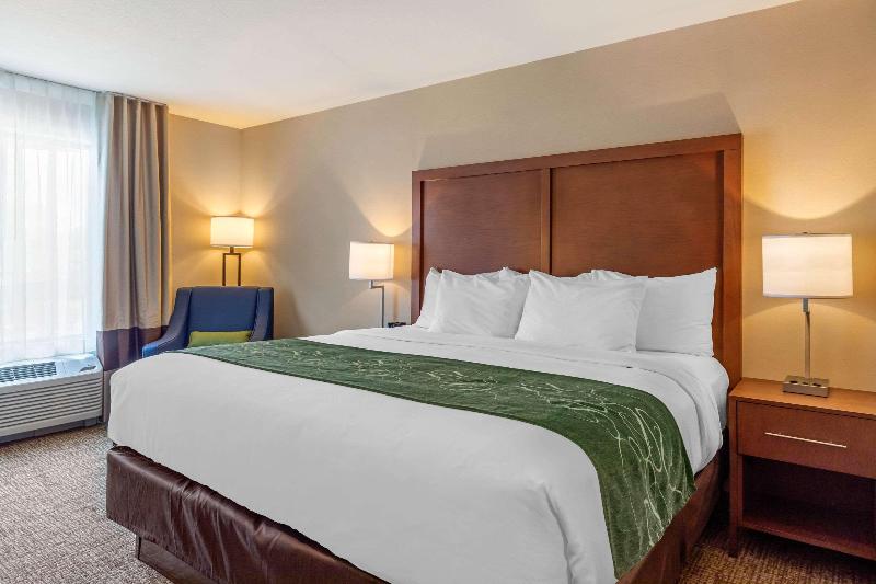 Comfort Inn & Suites Schenectady - Scotia image