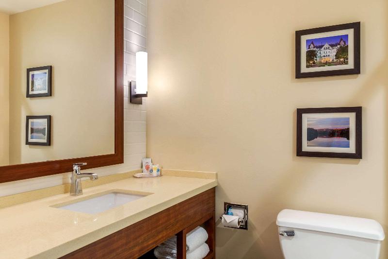 Comfort Inn & Suites Schenectady - Scotia image