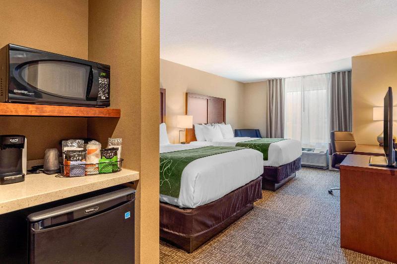 Comfort Inn & Suites Schenectady - Scotia image