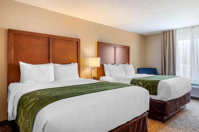 Comfort Inn & Suites Schenectady - Scotia image