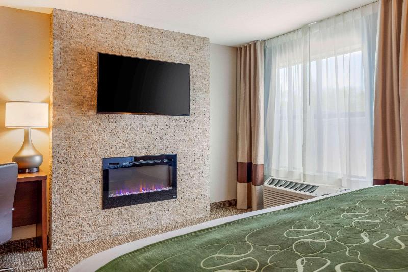 Comfort Inn & Suites Schenectady - Scotia image