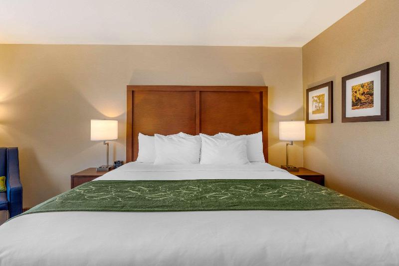 Comfort Inn & Suites Schenectady - Scotia image