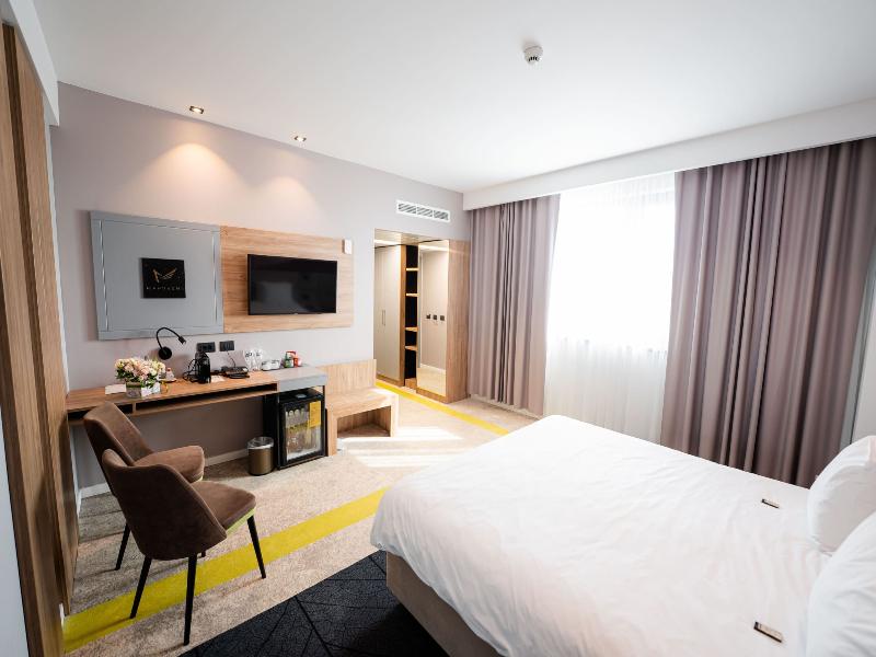 Mandachi Hotel & Spa image