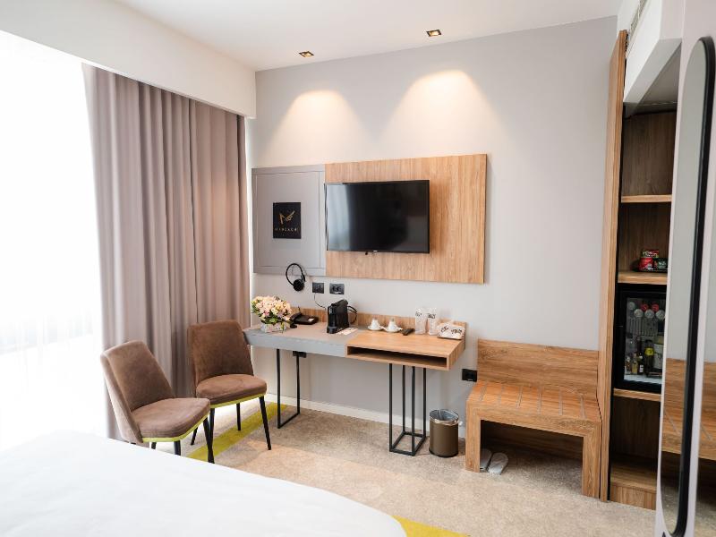 Mandachi Hotel & Spa image