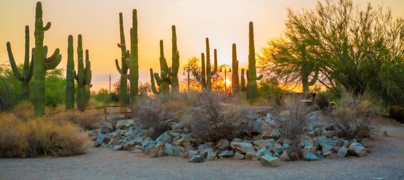 Staybridge Suites Gilbert image