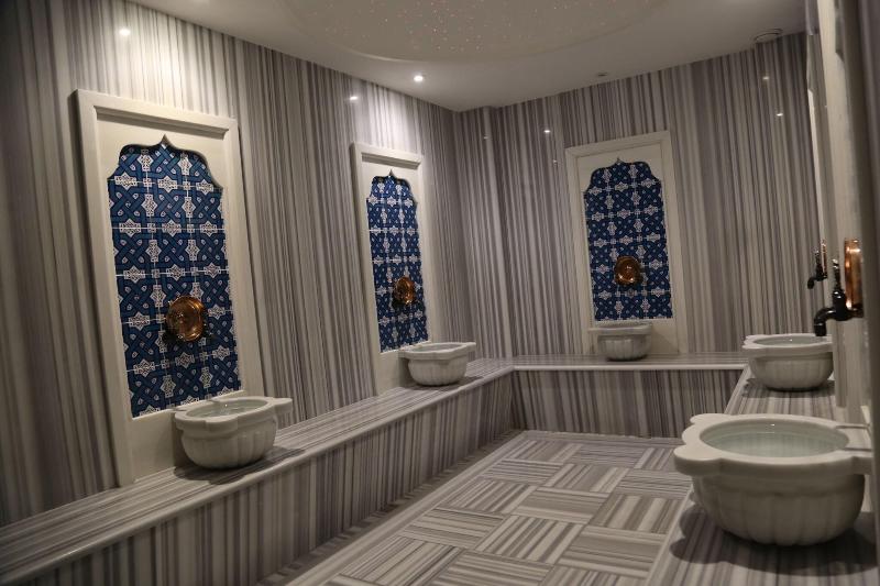 Sapanca Alfa Suites and Spa image
