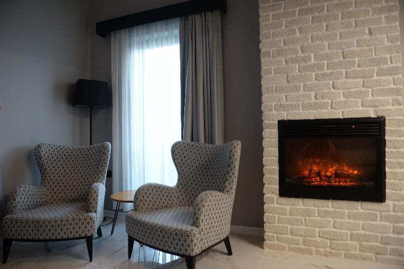 Sapanca Alfa Suites and Spa image