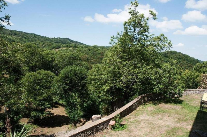Bio Agriturismo I Rondinelli image