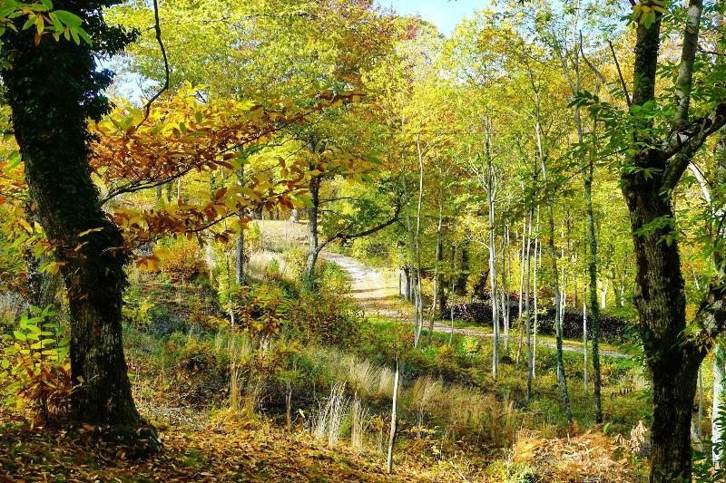Bio Agriturismo I Rondinelli image