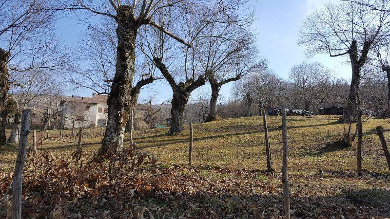 Bio Agriturismo I Rondinelli image
