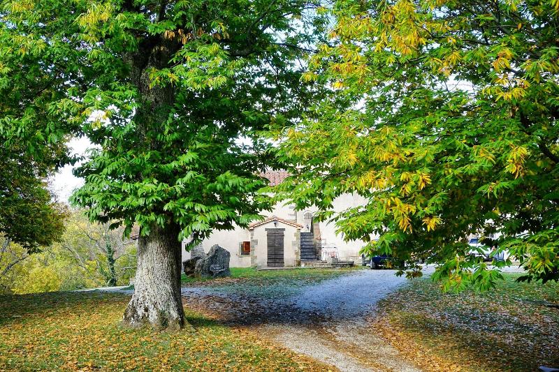 Bio Agriturismo I Rondinelli image