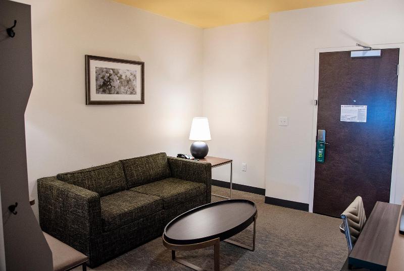 Holiday Inn Hotel & Sts Savannah Airport - Pooler, image