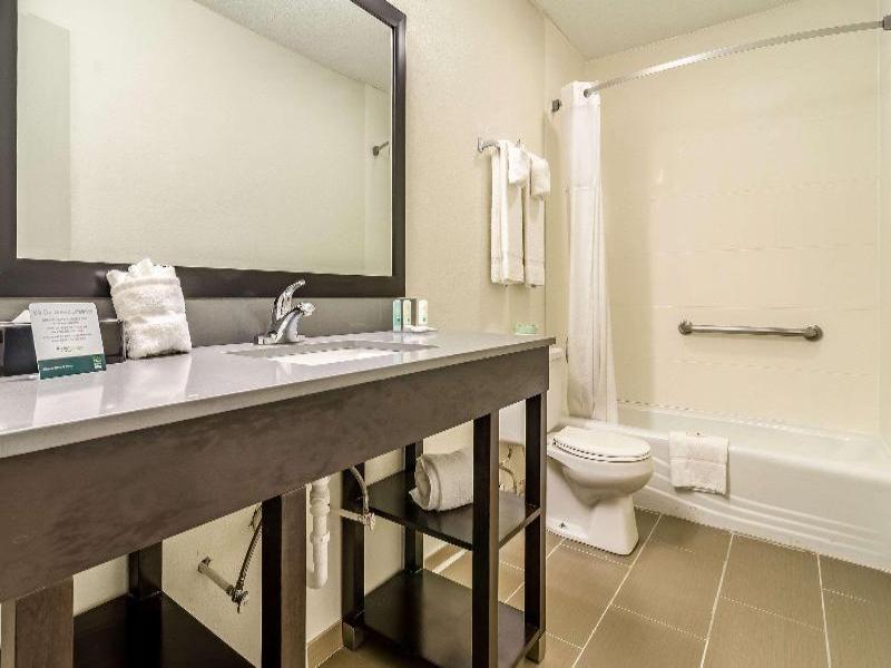 Quality Inn & Suites Creedmoor image