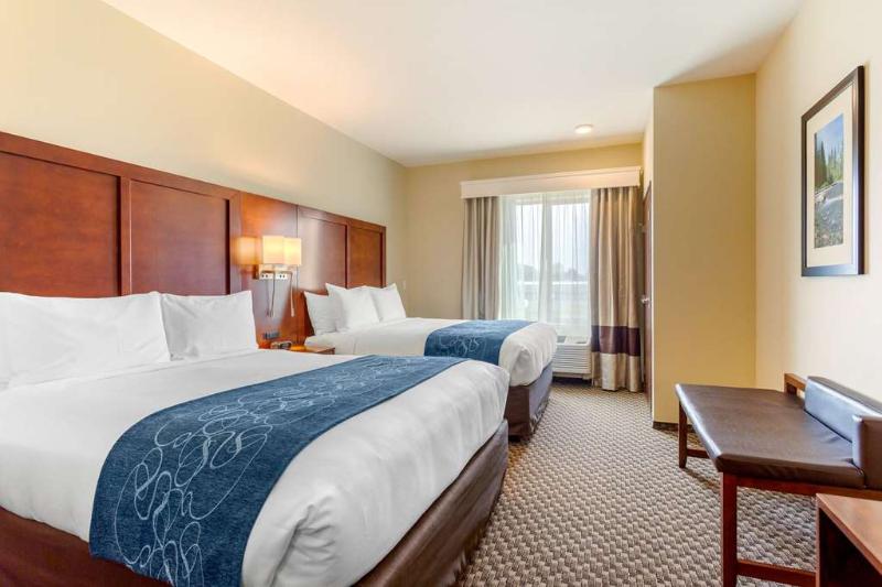 Comfort Suites Burlington near I-5 image