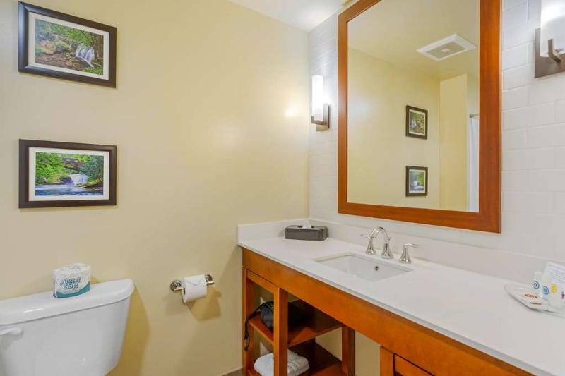 Comfort Suites Burlington near I-5 image