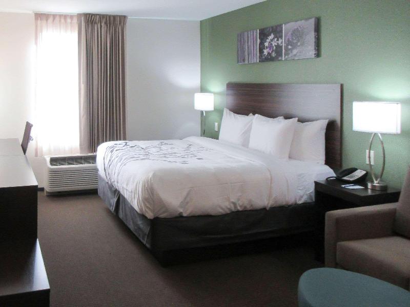 1 King Bed, Suite, Nonsmoking, Accessible