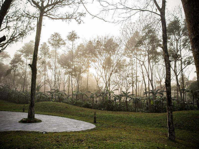 Alba Wellness Resort By Fusion