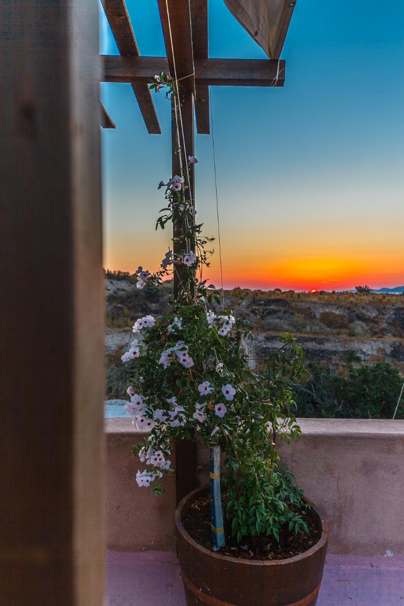 Rosepepper Villa Rosepepper Villa