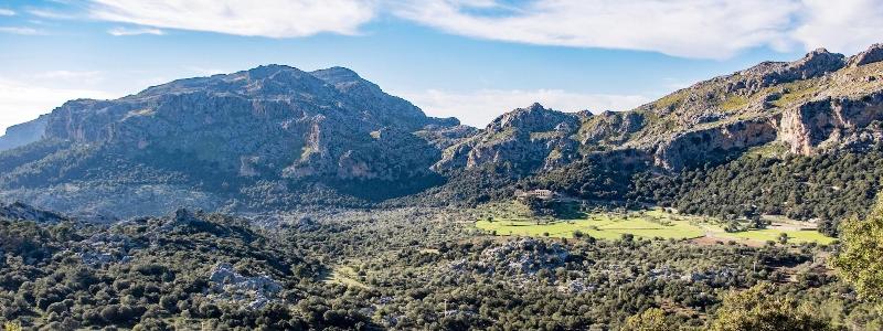 Agroturismo Son Alzines image