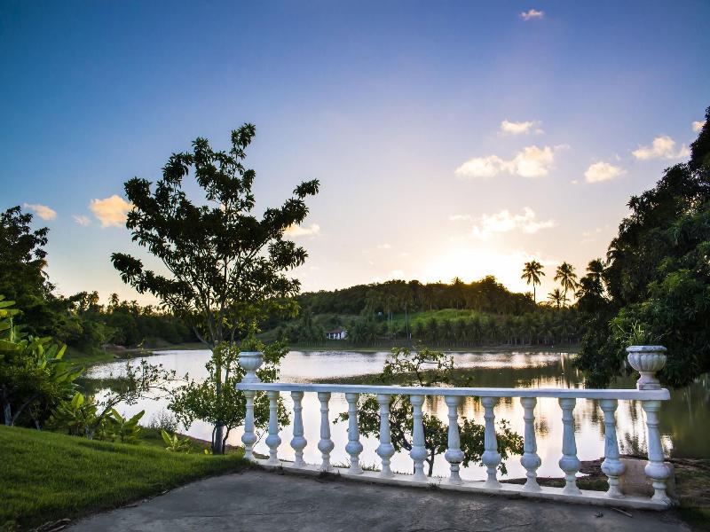 Fazenda Fiore image