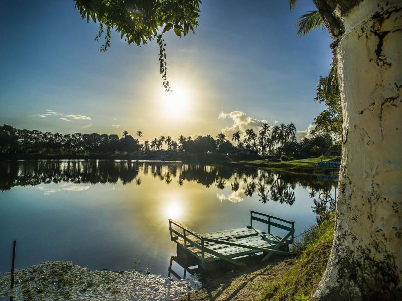 Fazenda Fiore image