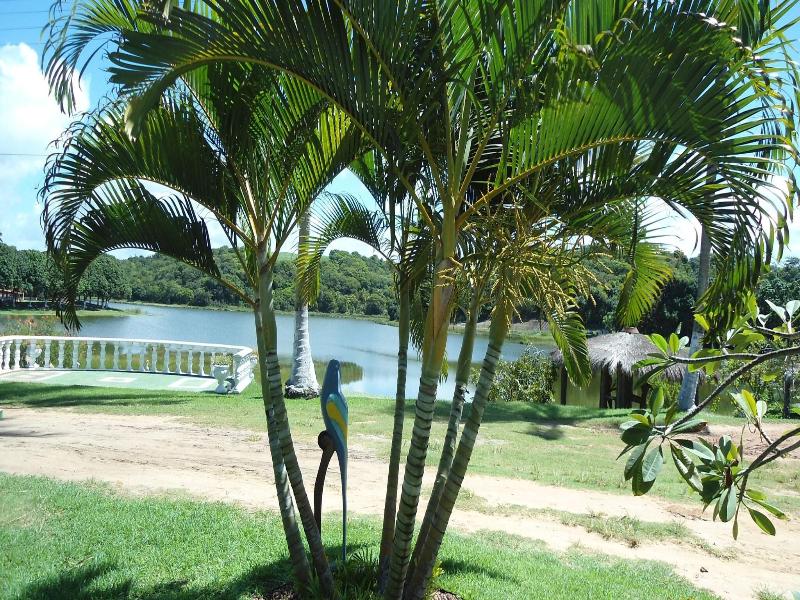 Fazenda Fiore image