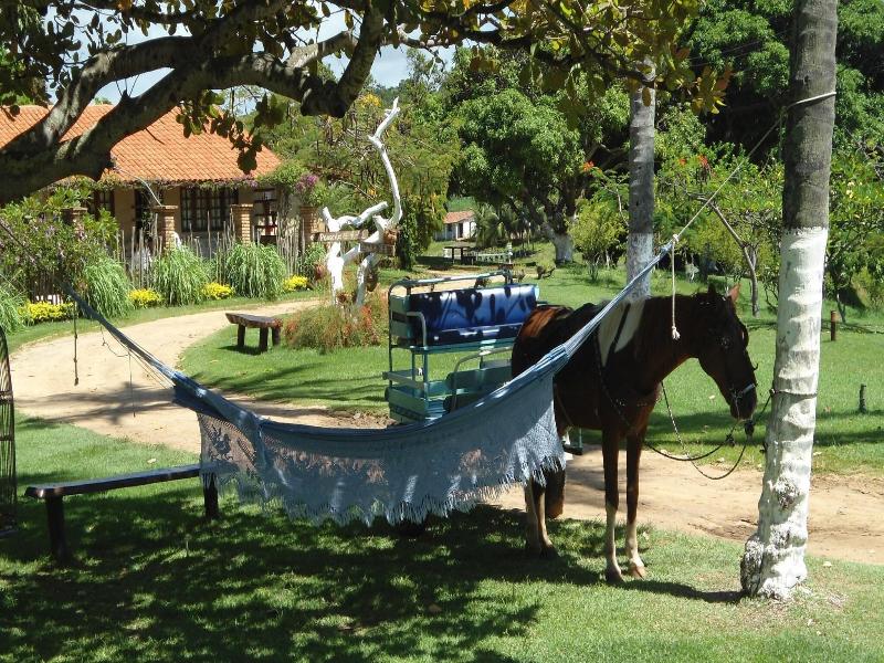 Fazenda Fiore image