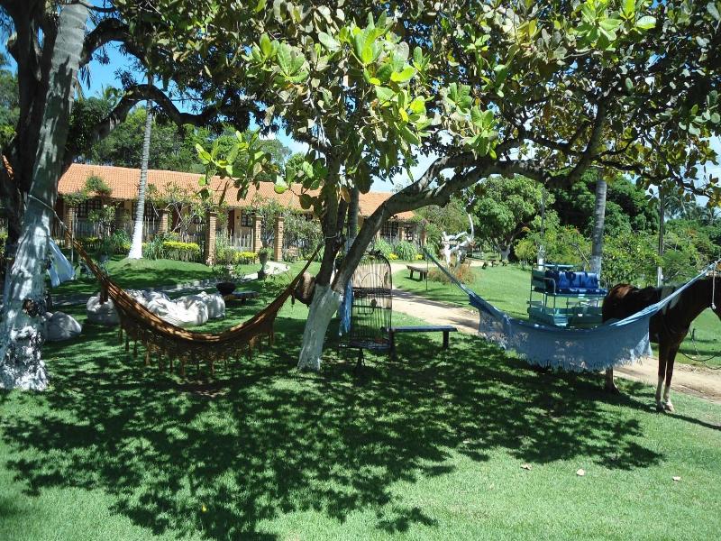 Fazenda Fiore image