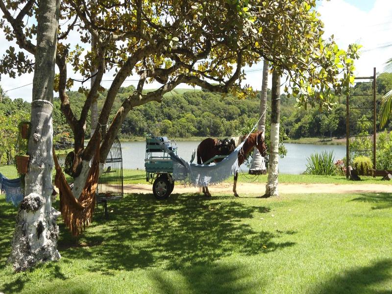 Fazenda Fiore image