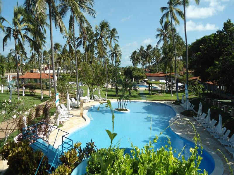 Fazenda Fiore image