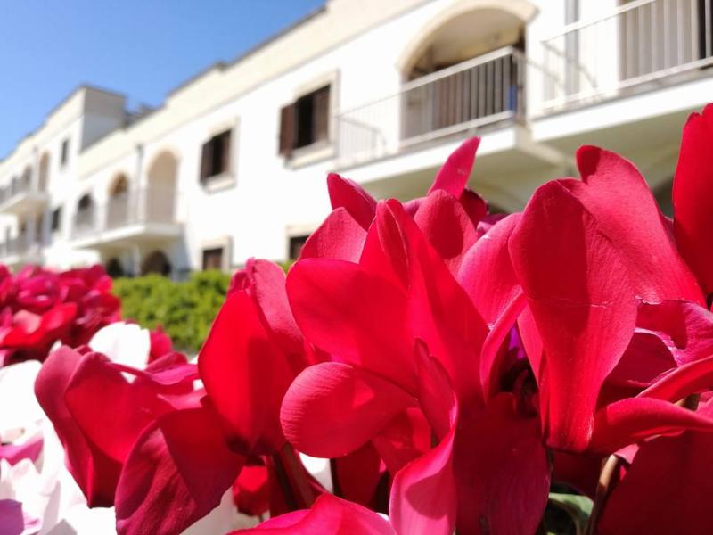 Residence Villaggio Catalano