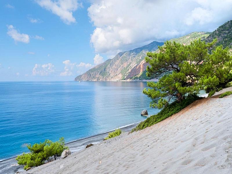 Island Suites image
