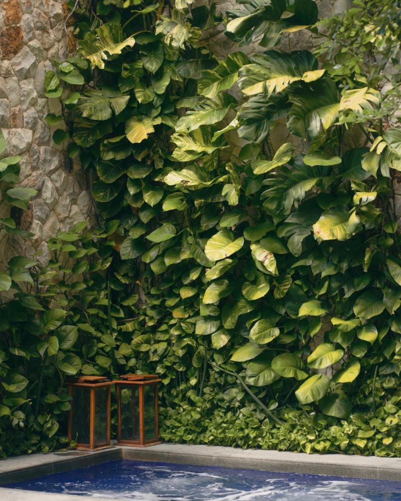 Pauli Boutique Hotel image