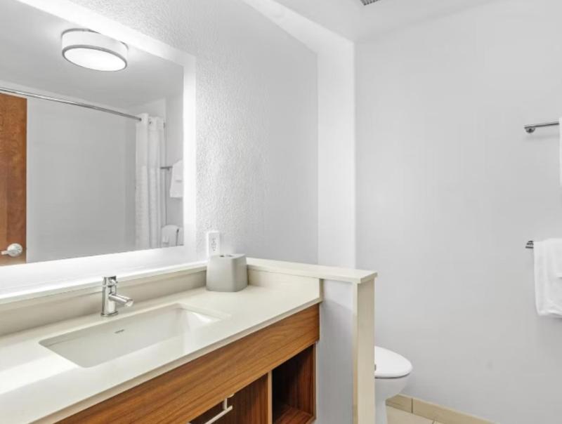 Holiday Inn Express & Suites Mobile-University Are image