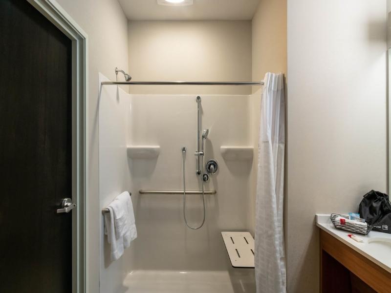 Microtel Inn and Suites by Wyndham Carlisle image