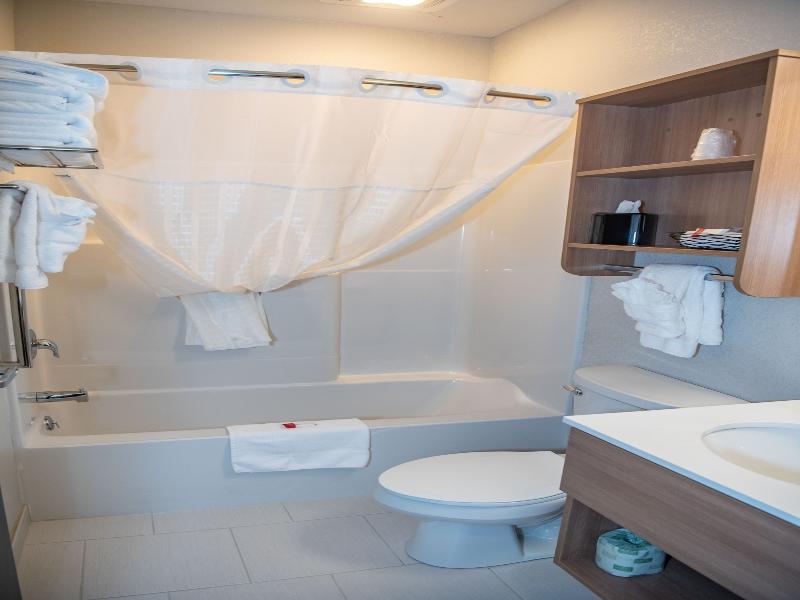 Microtel Inn and Suites by Wyndham Carlisle image