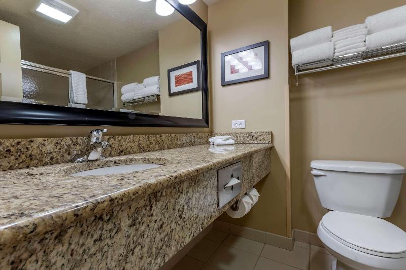 Comfort Inn Suites Dover image