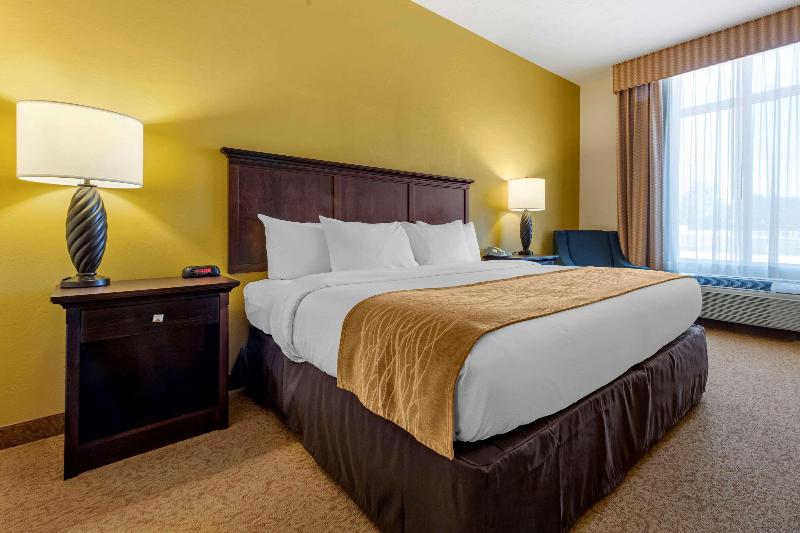 Comfort Inn Suites Dover image