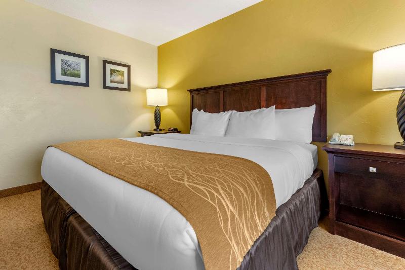 Comfort Inn Suites Dover image