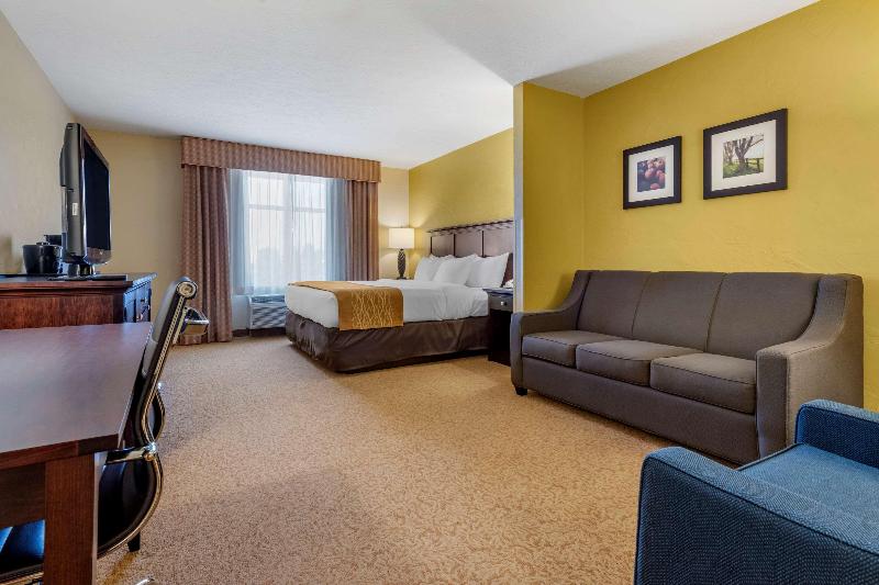 Comfort Inn Suites Dover image